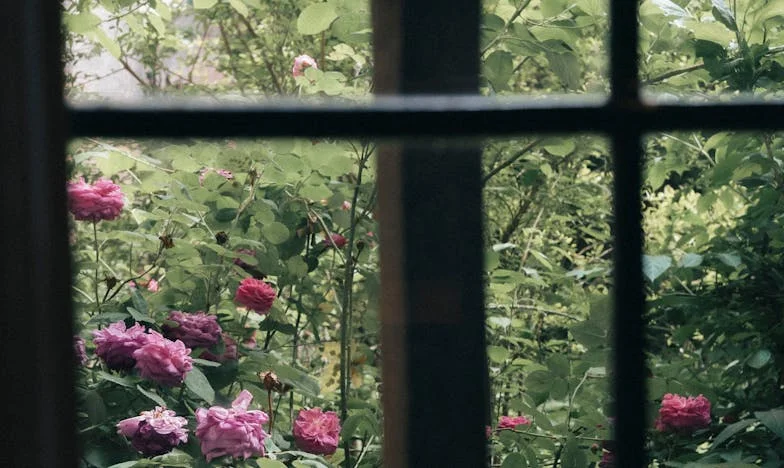 Recusei-me a cuidar da minha neta – agora toda a família se afastou de mim