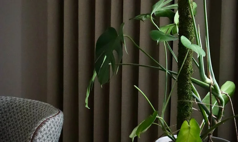 Silêncio de Mãe: Entre o Medo do Divórcio e o Segredo da Doença do Meu Filho