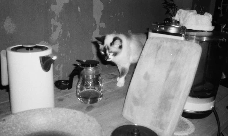 Tive razão em expulsar a minha sogra de casa depois do que ela fez?