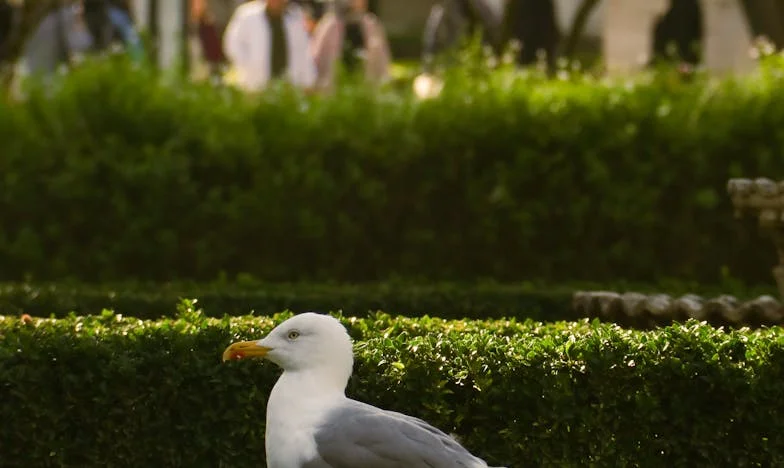 Vestidos de Seda, Lágrimas de Mãe: Entre o Amor e o Julgamento