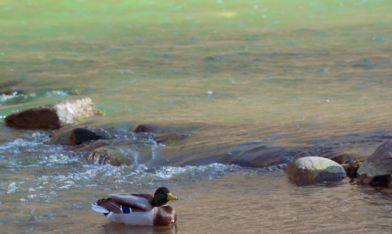 A minha filha vai casar com um homem da minha idade – O dilema de uma mãe portuguesa
