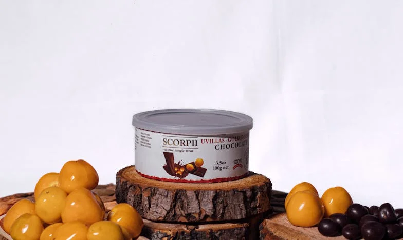 A Mulher no Passeio Molhado: Um Encontro com o Passado que Mudou Tudo