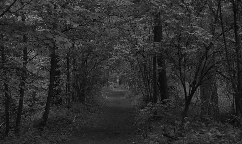 A Nova Neta Desfez a Nossa Família – Será Que Ainda Há Volta a Dar?