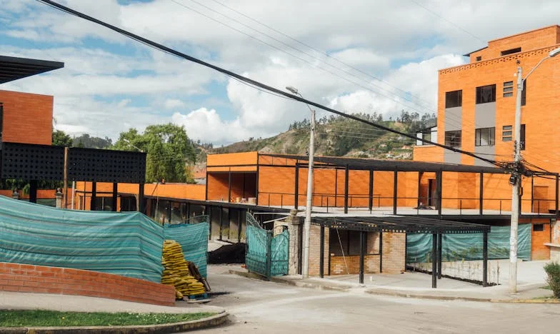 À Sombra da Minha Sogra: Um Almoço de Domingo que Mudou Tudo