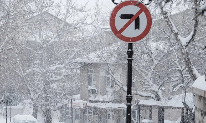 Cinco Anos de Silêncio: O Que Vale Mais — Família ou Justiça?