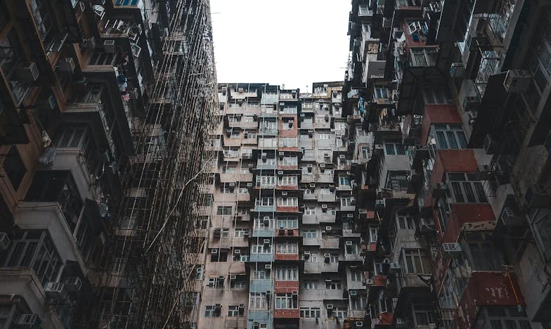 Como um reencontro inesperado virou a minha vida do avesso