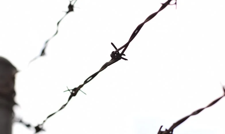 Desculpa, mas a partir de agora ela também vive connosco… – A história de uma família portuguesa e os limites do coração