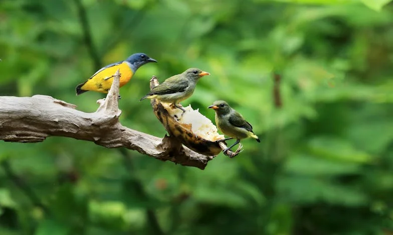 Entre Heranças e Segredos: O Preço de Proteger o Meu Filho