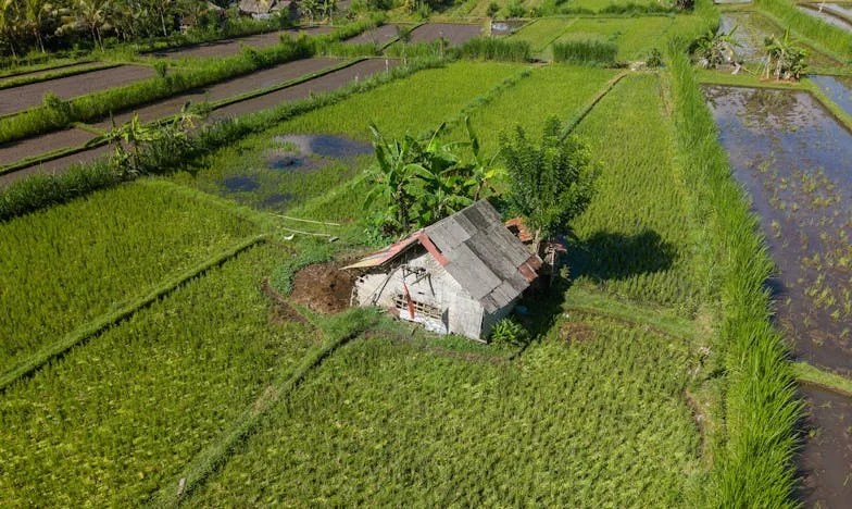 Entre Lágrimas e Silêncios: O Dia em Que Descobri a Verdade Sobre o Meu Marido