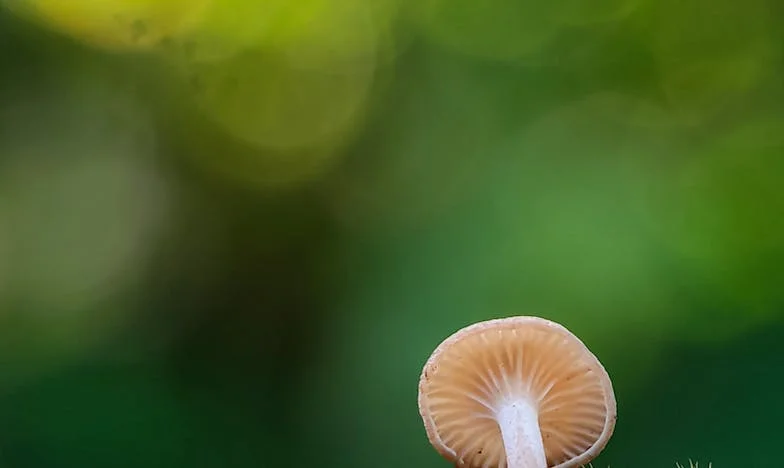 Não vou sacrificar a minha vida pelos erros dos outros – a história de Elvira e a luta pelo meu lar