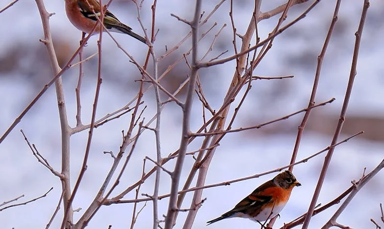 Nunca Imaginei: A Noite em que Fecharam a Porta na Minha Cara