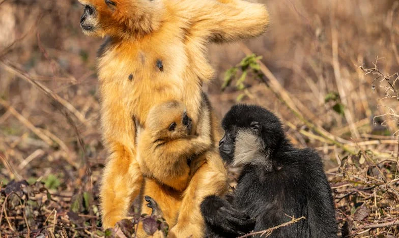 Nunca pensei que teria de fingir-me de morta para sobreviver – A minha luta contra a violência doméstica numa família portuguesa