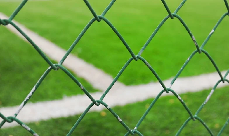 O Aniversário Que Nunca Esquecerei: Quando a Minha Casa Deixou de Ser Minha