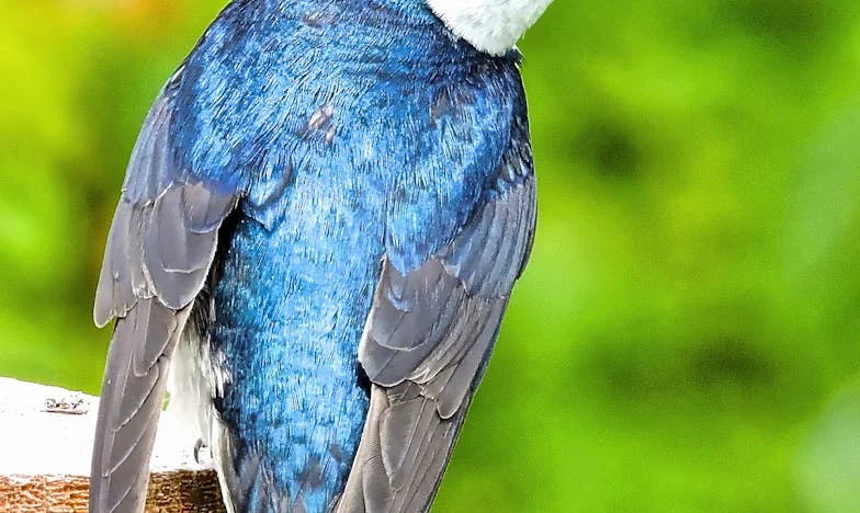 O Segredo Que Mudou a Minha Família: Quando a Minha Filha Me Pediu Para Cuidar do Neto