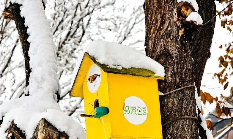 O Segredo Que Mudou Tudo – Quando Finalmente Mostrámos o Nosso Milagre