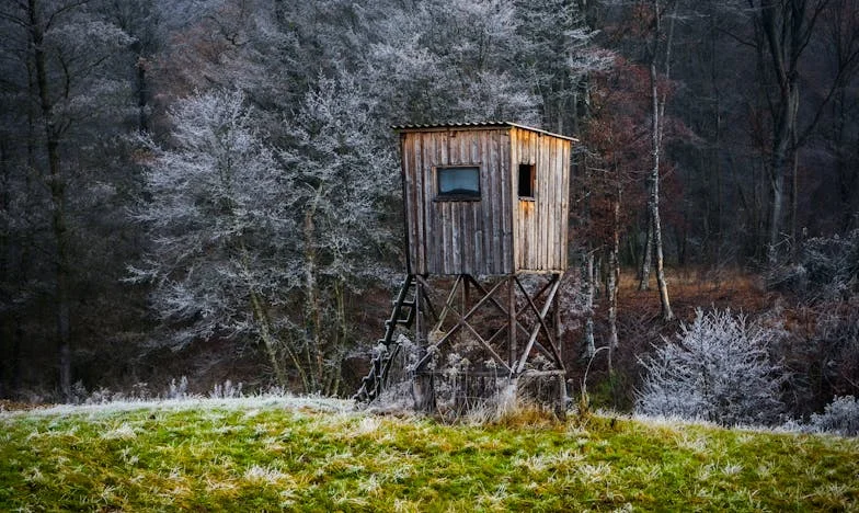 Quando a Promessa se Torna Prisão: O Meu Inferno Silencioso com a Sogra