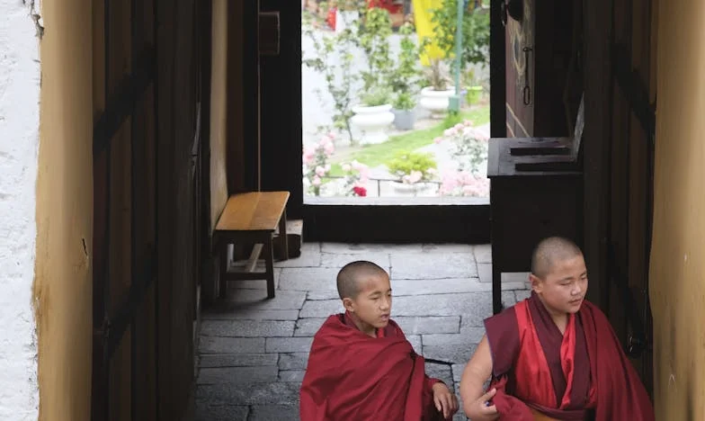 Quando o Amor se Torna Peso: Entre a Nora, o Filho e os Silêncios da Família