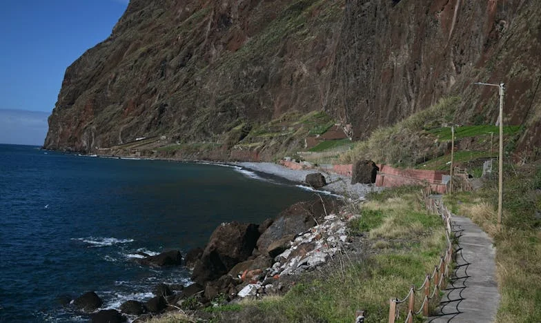 Quando o Meu Filho Voltou: Uma História de Perdão e Aceitação