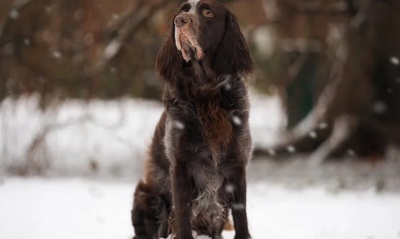 Quem Decide o Nome do Meu Filho? A Minha Luta Contra as Expectativas da Família