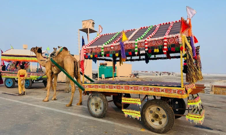 Regresso a Casa Vazia: Como a Ganância do Meu Cunhado Despedaçou a Minha Família
