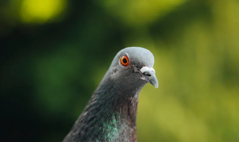 Só é família, diziam... Mas até onde vai o amor quando só um lado cede?
