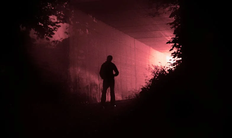 "Só um neto chega!": A minha sogra decidiu que o meu filho não devia nascer