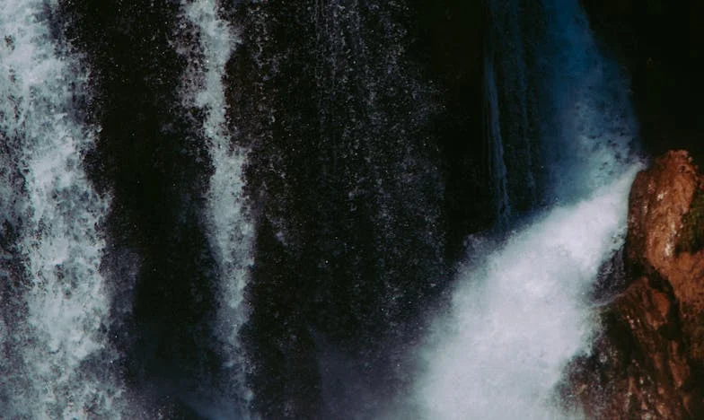 Tulipas do Mercado e o Silêncio da Madrugada: Um Retrato de Confiança Perdida