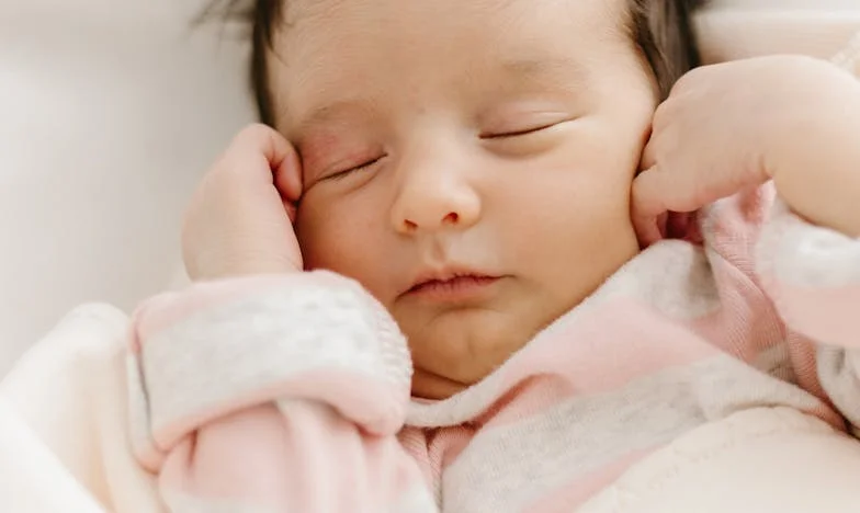 Entre o Amor e a Traição: A História de Uma Família Portuguesa Desfeita