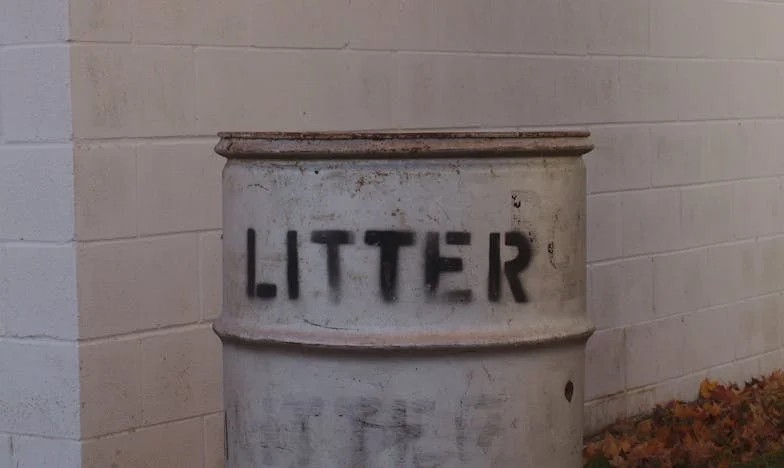 Entre o Amor e o Orgulho: Confissões de uma Sogra Portuguesa