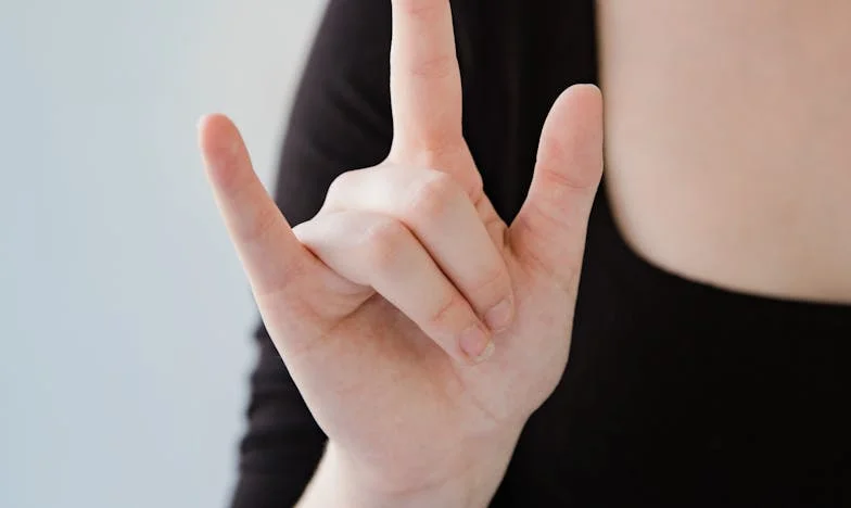 Hóspede na Casa da Minha Filha: A História de Elisa