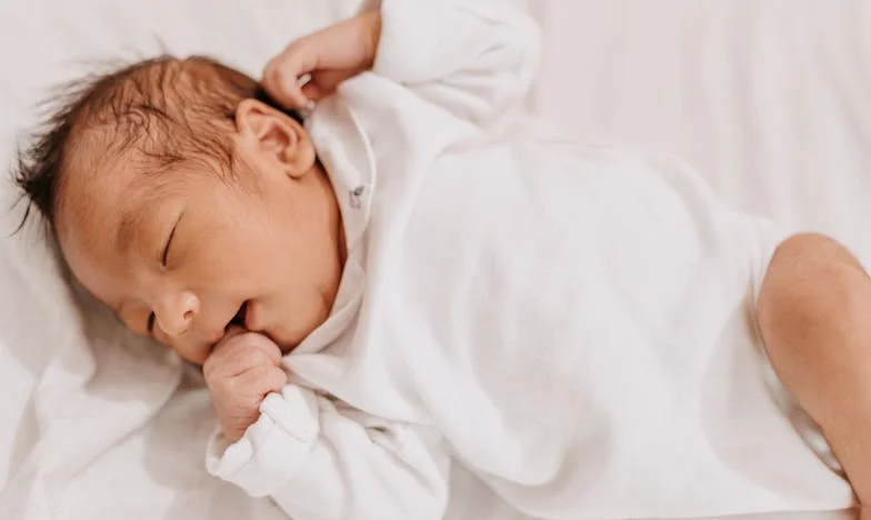 Lágrimas no Alcatrão: A História de uma Felicidade Perdida