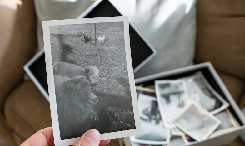 O preço do sangue: entre o dever e o perdão