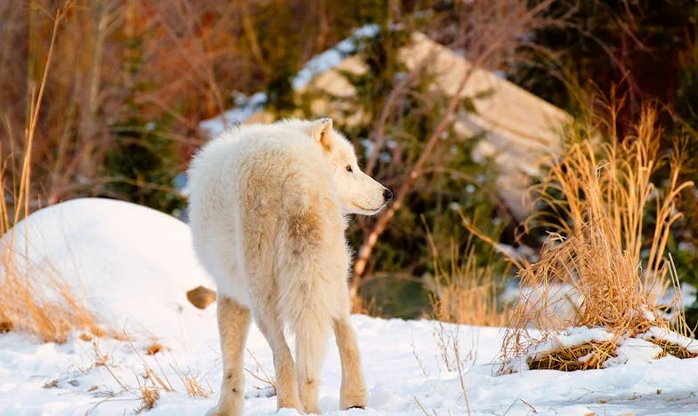 Sempre fui só a 'tia do apartamento'. Uma história sobre como a família pode magoar mais do que ninguém.