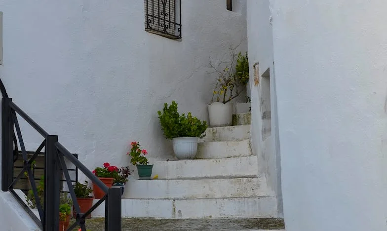 A Minha Casa, As Regras Dela: Como a Minha Irmã Tomou Conta da Minha Vida