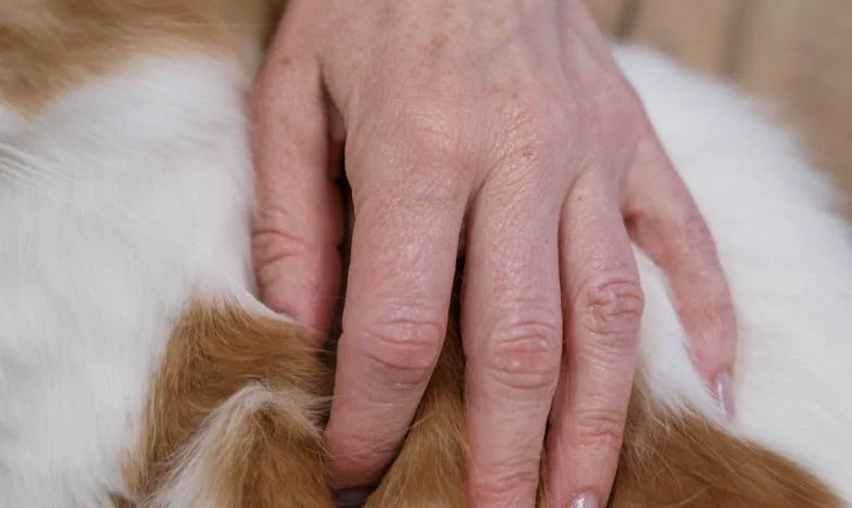 A Palavra que Salvou a Minha Filha – Uma História de Confiança e Segredos de Família