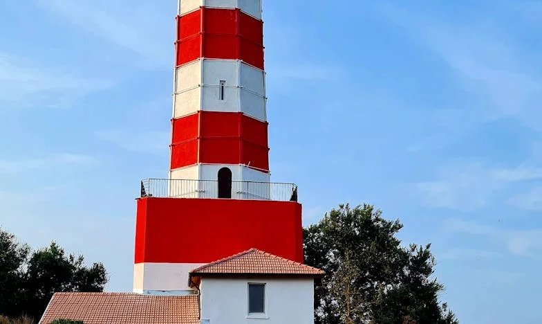 A Verdade por Trás das Rosas Vermelhas: Uma Revelação no Meu Aniversário