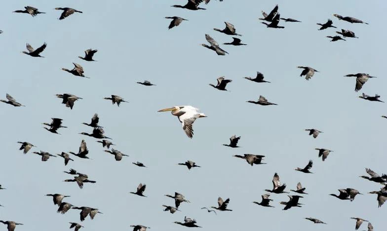 Entre Duas Famílias: A Véspera de Natal Que Rasgou o Meu Coração