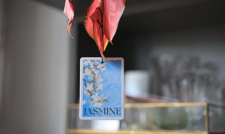 Já não sou a criada deles: o meu renascimento após anos de silêncio