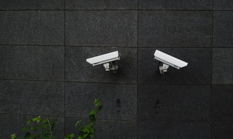 Mãe, demos-te dinheiro: porque é que as crianças estavam com fome? – Descobri como a minha mãe alimentava os netos quando ficava sozinha com eles na quinta