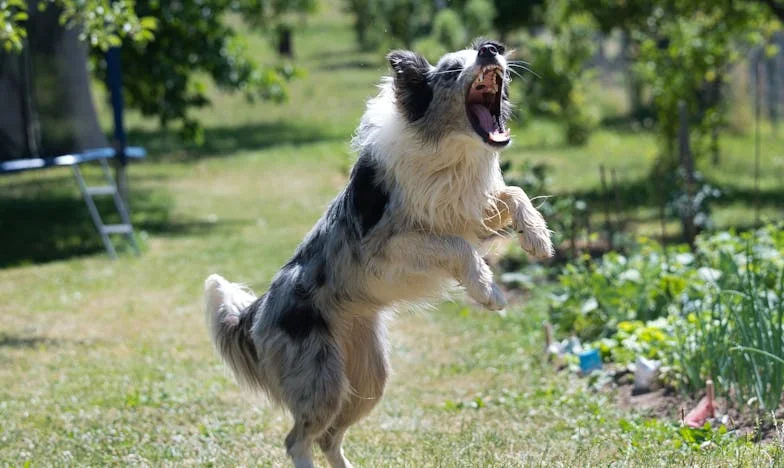 O meu marido enviou-me uma fatura pela nossa vida em comum: Uma história portuguesa de amor, dinheiro e traição