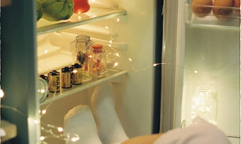 O Que Está no Meu Frigorífico? Uma História de Fechaduras, Fome e Amor