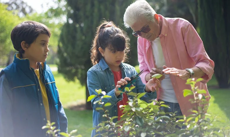 Perdi a minha neta por causa dos bolinhos?
