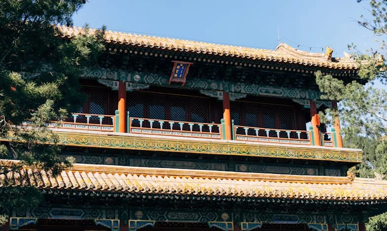 Regressar ao Lar: Entre o Amor e o Silêncio da Minha Filha