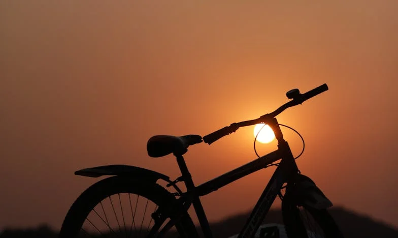 Sombra à Beira da Aldeia – a história de Joana da casa no fim do mundo