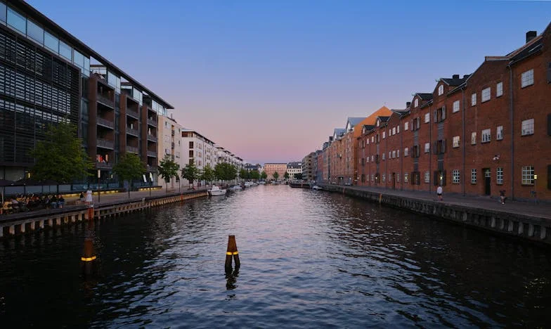 Vinte Anos de Mentiras: O Duplo Vida do Meu Marido Revelado por um Telefonema