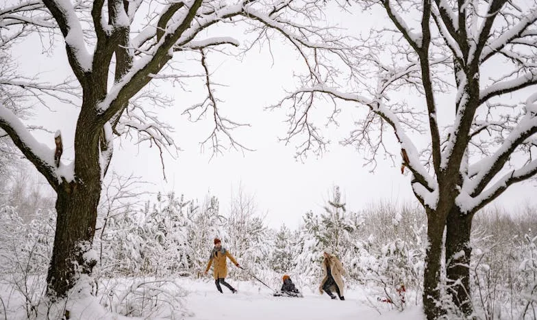 O Segredo de Miguel: Quando a Confiança Morre em Silêncio