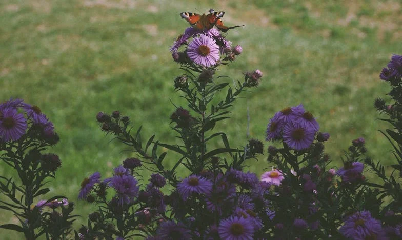Quando a Verdade Dói: A História de Magda e a Justiça em Lisboa