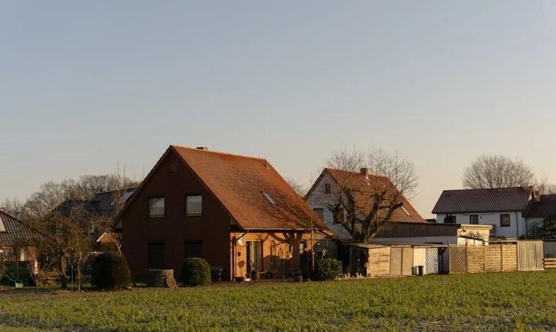 “Tenho o direito de ter quantos filhos quiser!” – A história de uma família portuguesa em ruínas