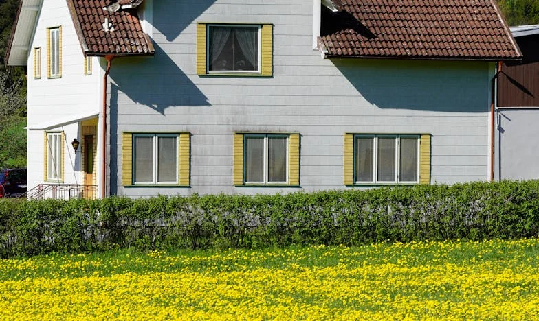 Um Coração de Mãe Partido: O Silêncio Entre as Minhas Filhas