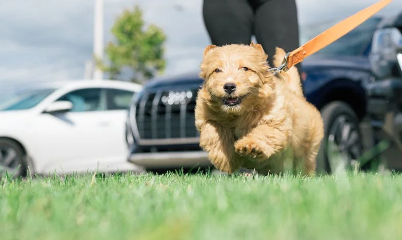 A Hora Que Mudou Nós Dois: Quando Orion Decidiu Confiar de Novo